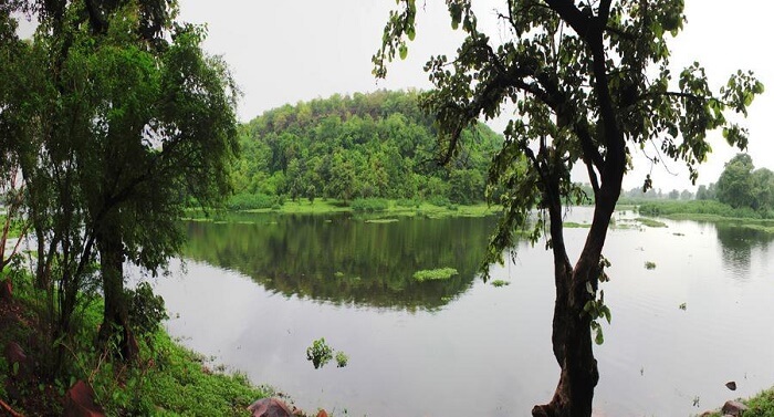 Samardha Jungle Resort