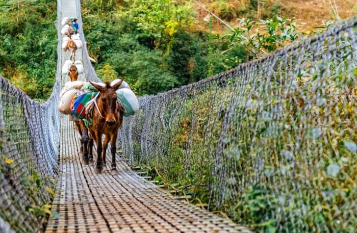 The Manaslu Trekking Route
