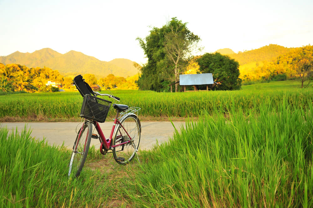 cycling tour