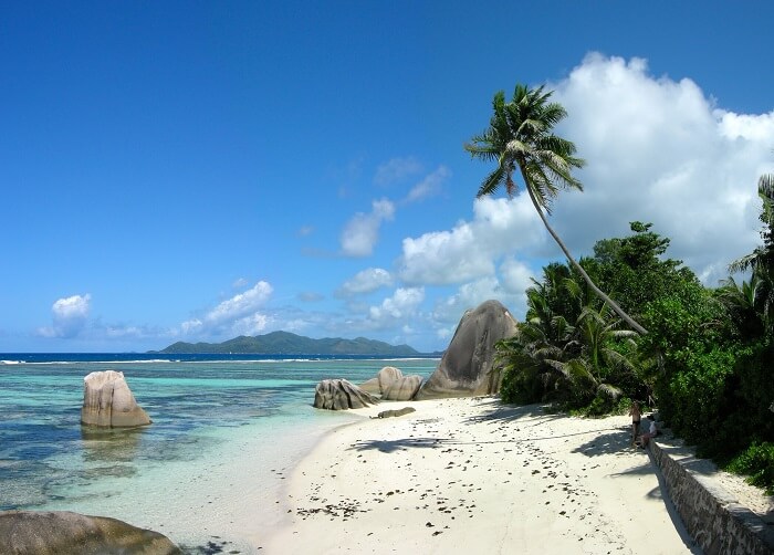 timor, indonesia, beach, palm trees
