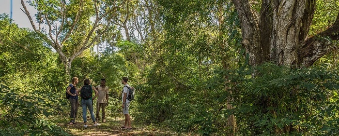 nature walk, travel, timor, indonesia