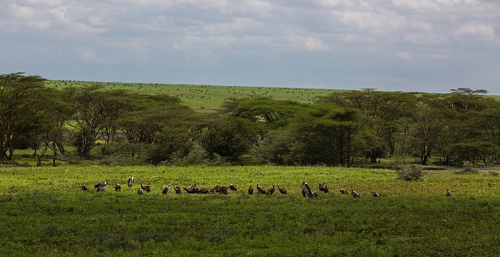 ngorongoro-conservation-area-