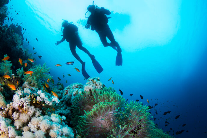 Scuba Diving In Bentota