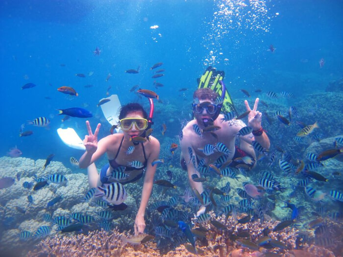 The Beautiful Underwater World