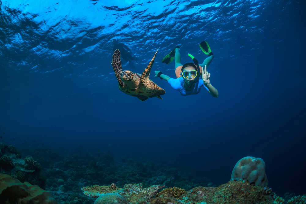 snorkelling