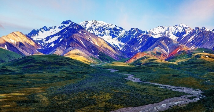 Denali National Park: An Absolute Guide For All Travelers
