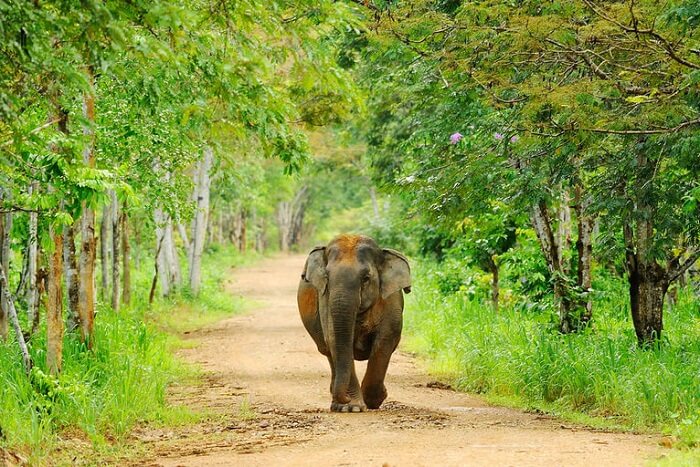 thailand national park