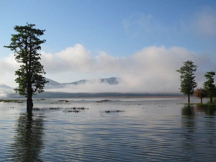 water bodies,water,trees,rare view