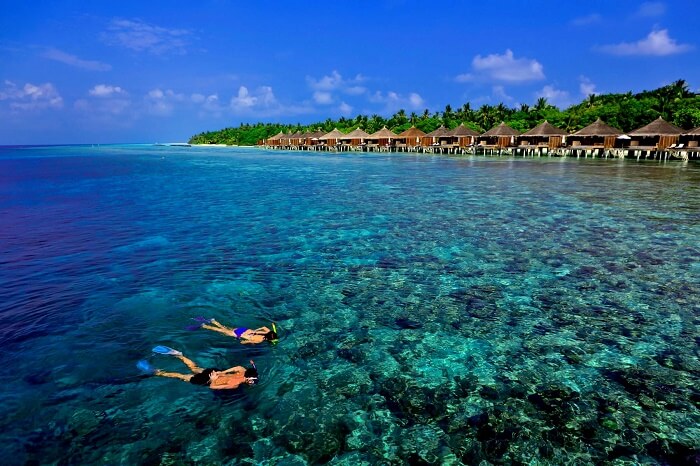 Snorkelling