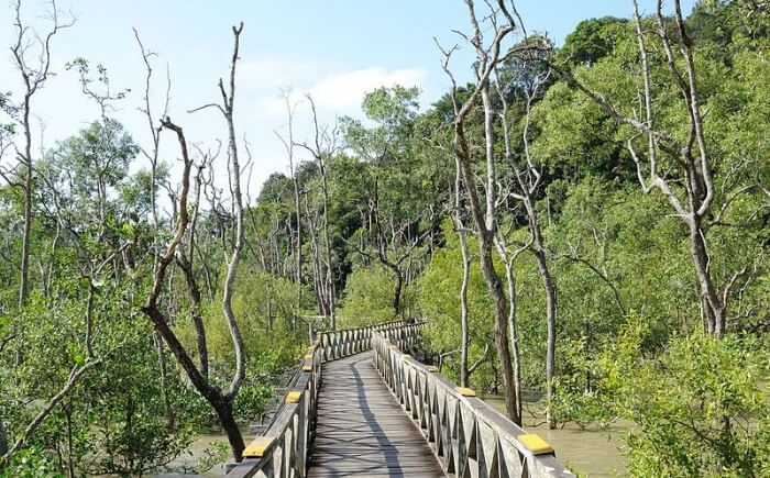 Bako National Park