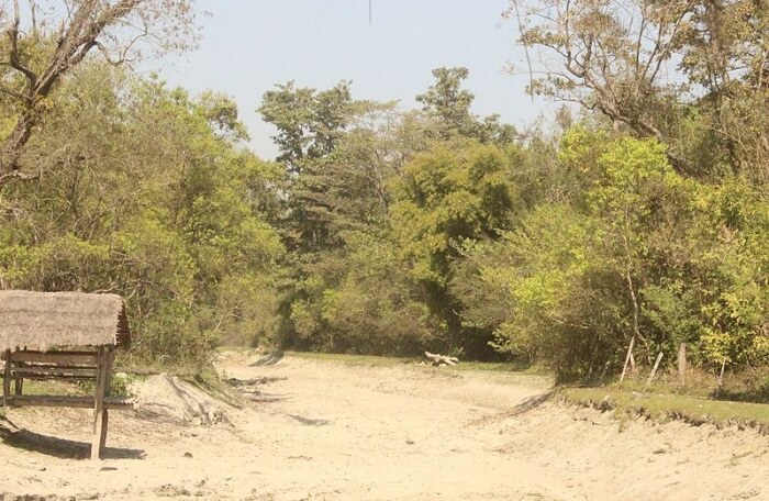 Bardia National Park