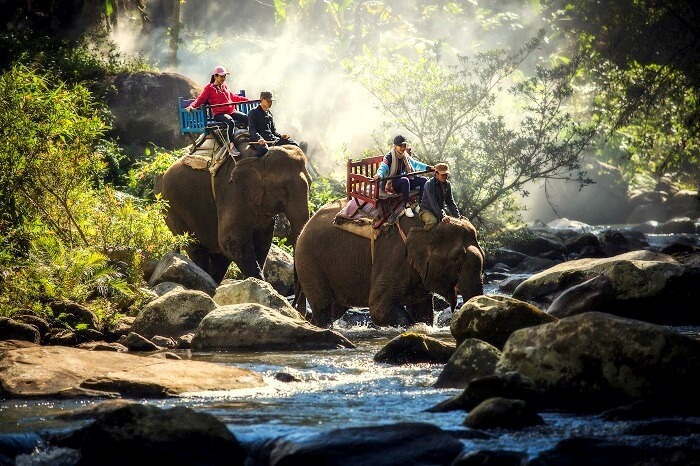 Chiang Mai Trekking Cover