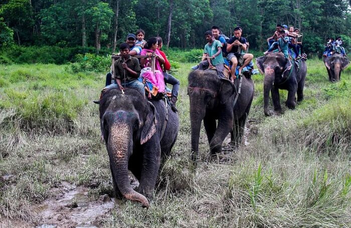 Chitwan National Park