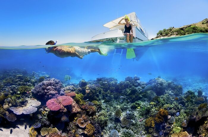 Dive into the coral reef