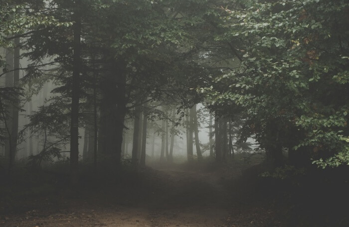 Nature trail