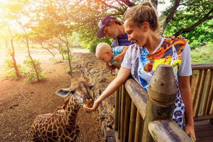 pilanesberg game reserve