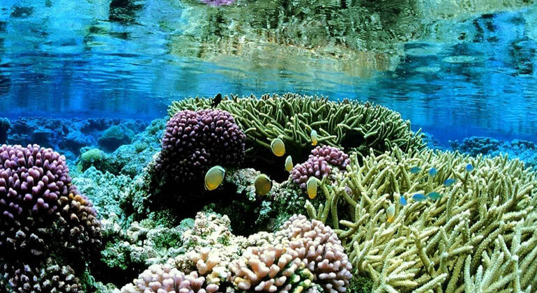 pool of shallow water