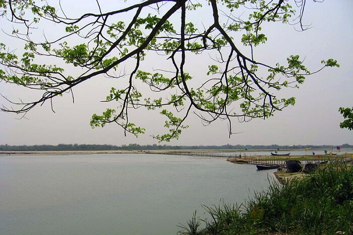 Torsa River Side