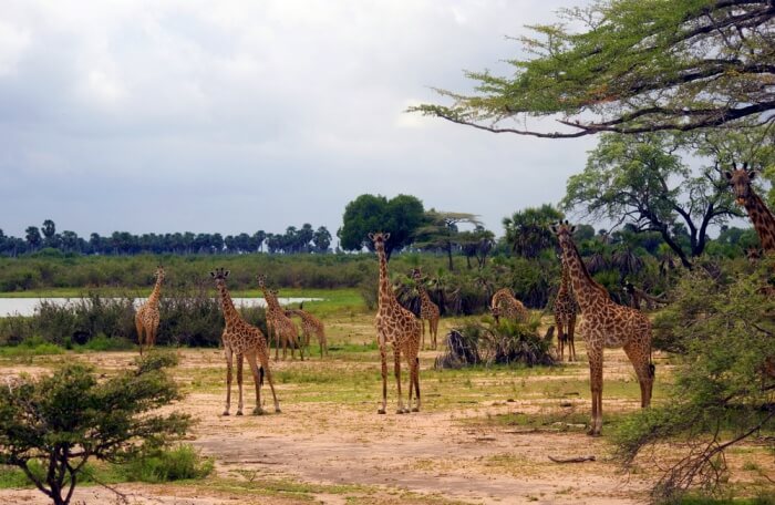 Wildlife Reserve