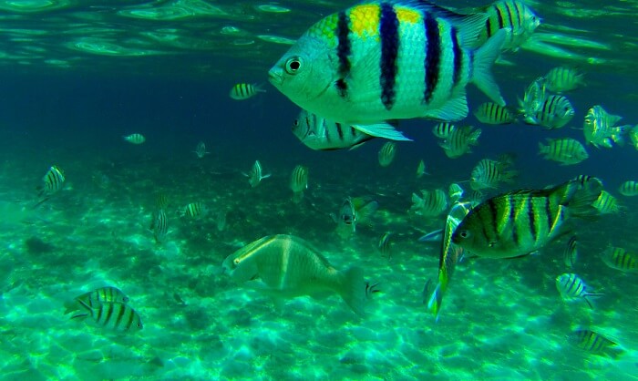 Terengganu Marine Park