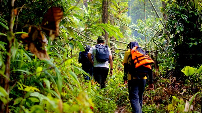 trekking