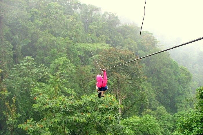Canopy tour