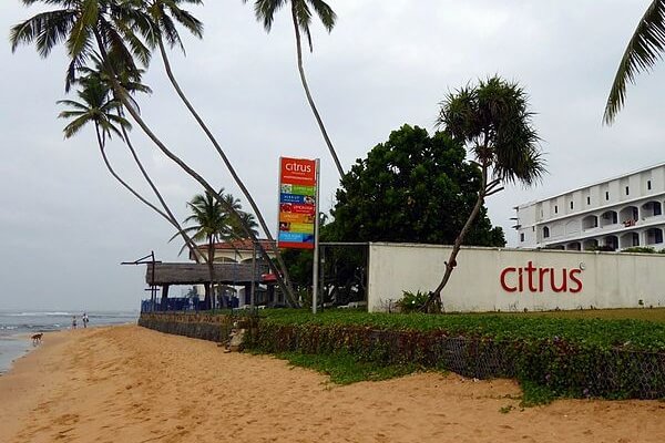 Citrus Hikkaduwa
