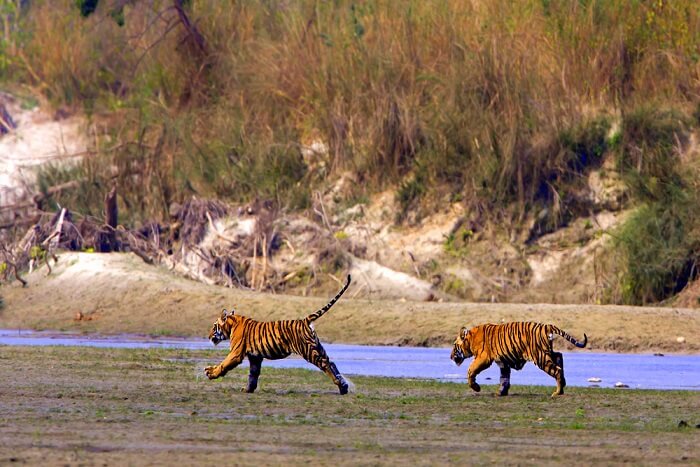national park