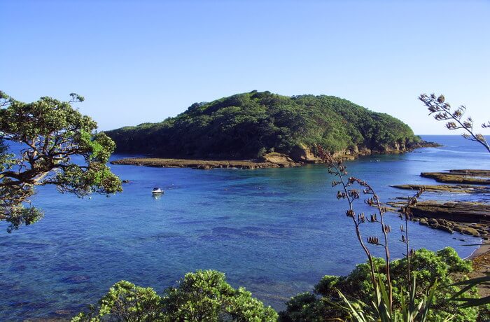 Goat Island