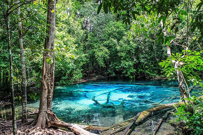 How to Get To Khao Phenom Bencha National Park