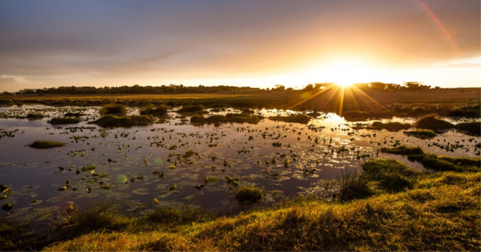 Here’s An Insider’s Peek Into Isimangaliso Wetland Park