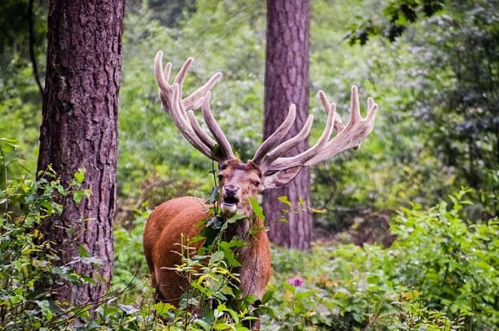 Netherlands National Parks