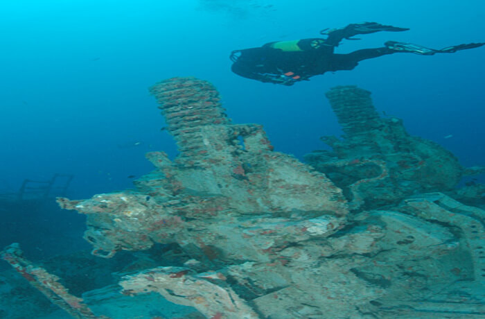 Tui Wreck