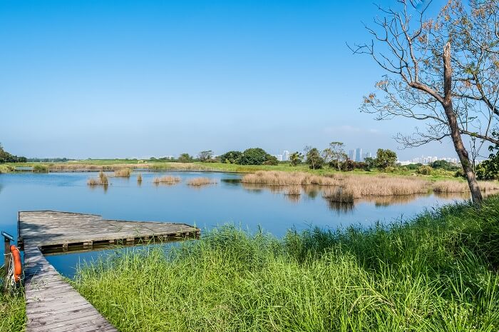 Wetland Hong Kong