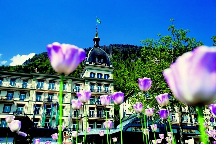 grand hotel