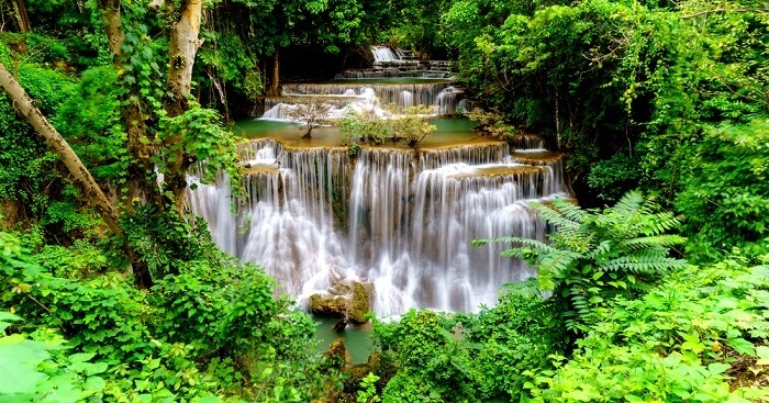 A Guide To Explore Kanchanaburi Forest Reserve In 2023