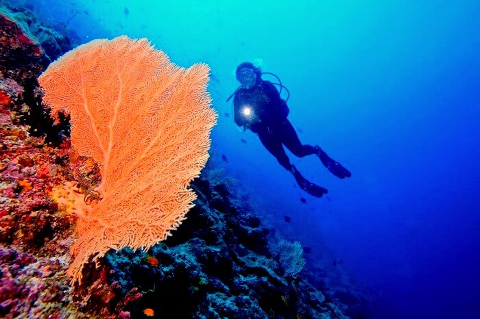 snorkeling