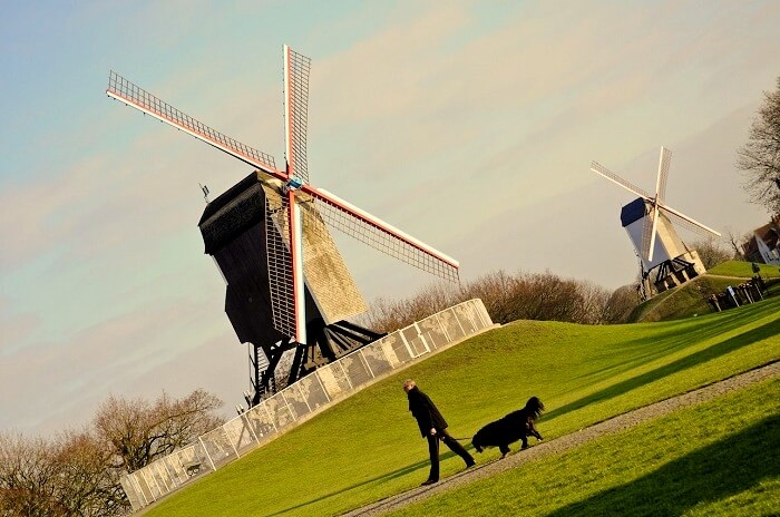 Windmills