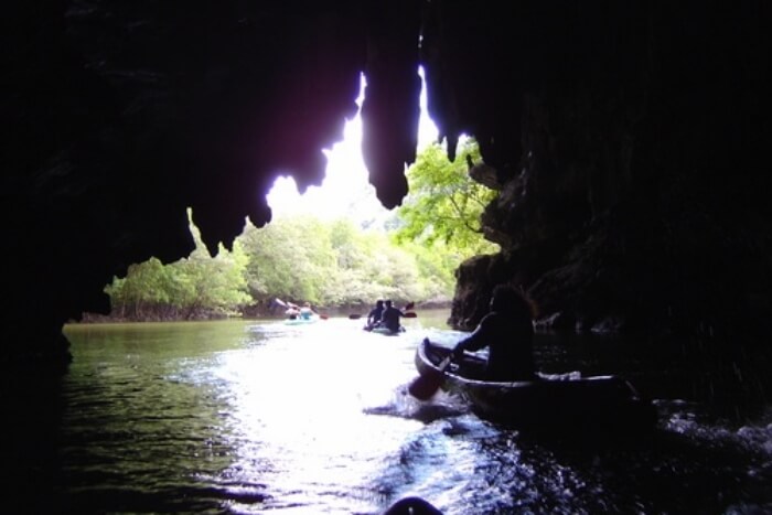 Ao Luk Mangroves and Caves