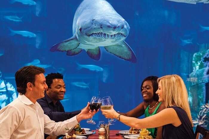 Cafeteria Mauritius Aquarium