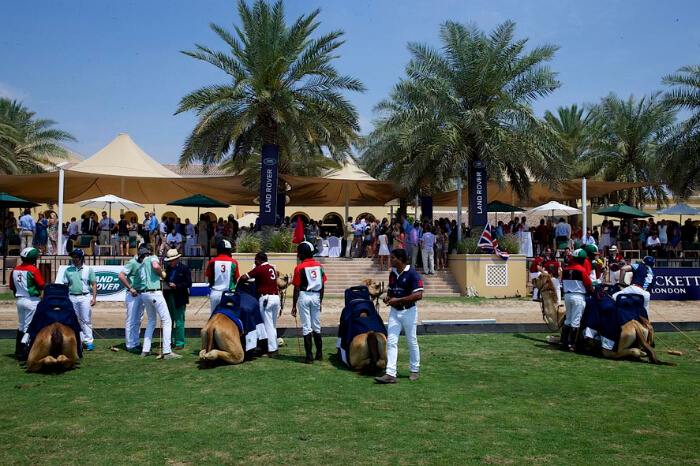 Dubai Polo And Equestrian Club in Dubai