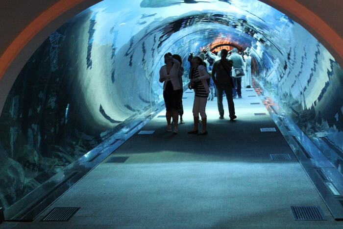 Dubai Underwater Zoo in Dubai