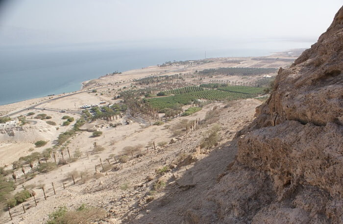 Ein Gedi Nature Reserve