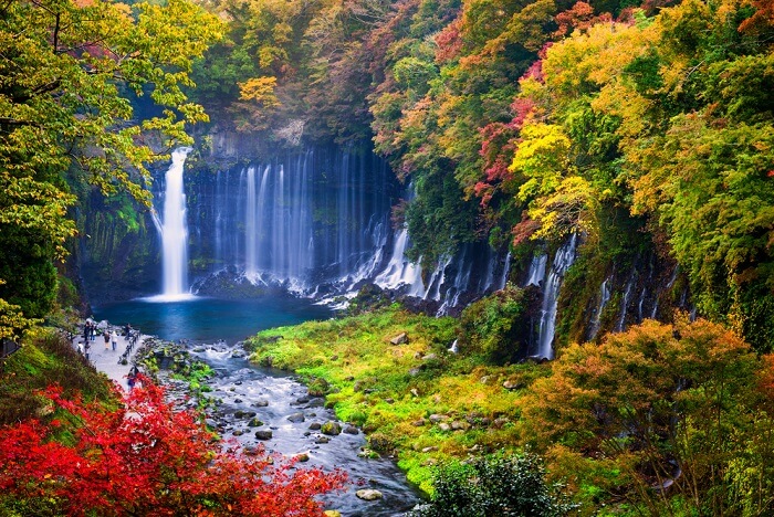 10 National Parks In Japan To Delight All Wildlife Fans!