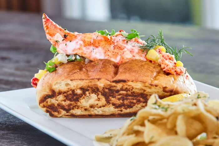 Shediac Lobster festival