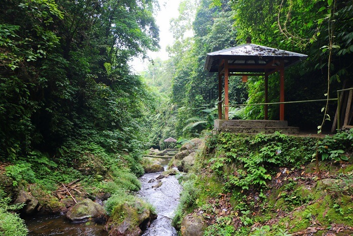 activitiy near Gitgit waterfall