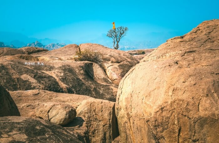 Beautiful Landscapes