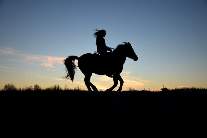 Horse Riding