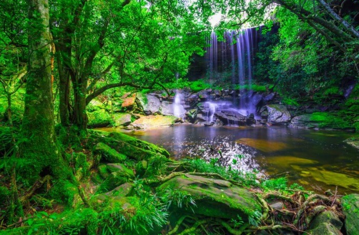 Waterfalls View