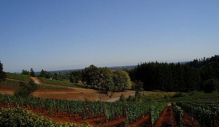 Willamette Valley Wine Country